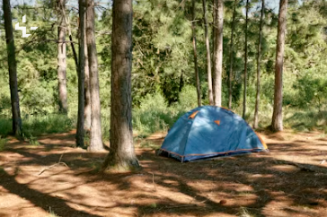 Down vs synthetic sleeping bags